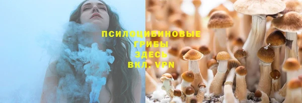 дживик Балахна