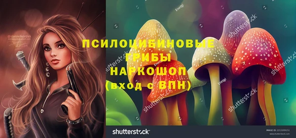 гидропоника Балабаново