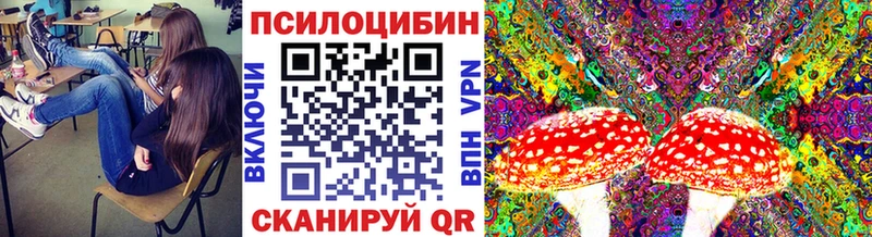 Галлюциногенные грибы Psilocybine cubensis Певек